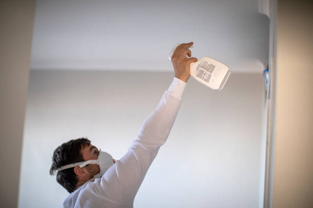 Best Basement Mold Remediation in Cicero, IN